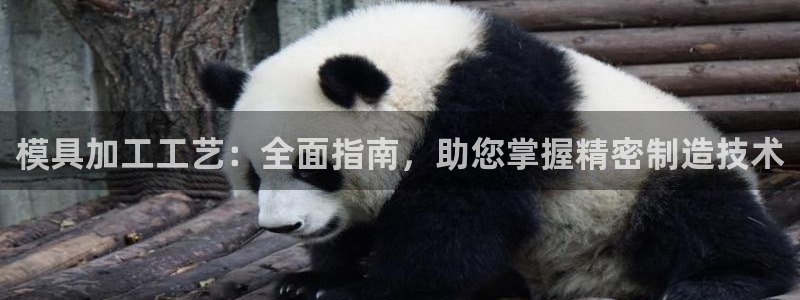 063801太阳集团备用网址：模具加工工艺：全面指南，助您掌握精密制造技术