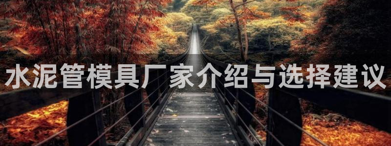 太阳集团所有网址16877官网：水泥管模具厂家介绍与选择建议