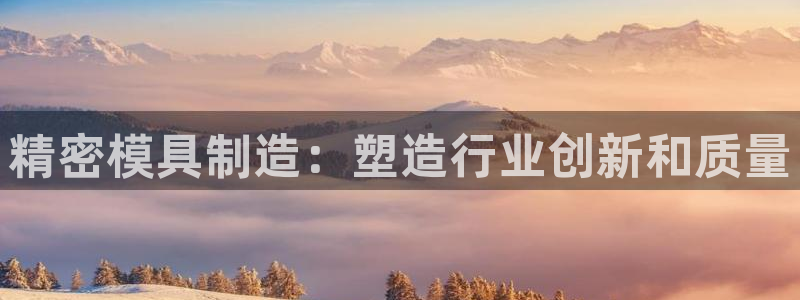 太阳成集团tyc234cc官网：精密模具制造：塑造行业创新和质量