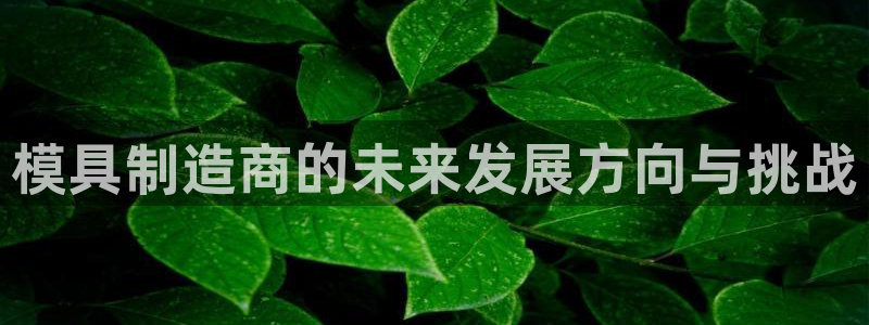 太阳地产集团