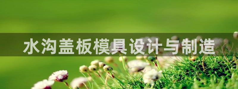 太阳集团是什么平台?：水沟盖板模具设计与制造