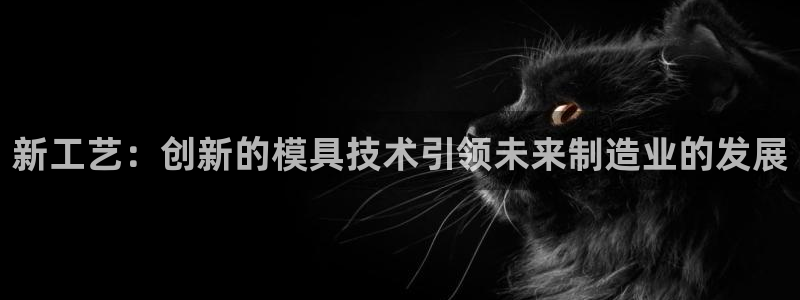 太阳集团电子游戏官方网站：新工艺：创新的模具技术引领未来制造