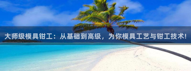 太阳股份有限公司：大师级模具钳工：从基础到高级，为你模具工艺与钳工技术!
