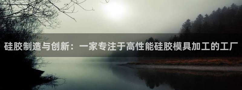 太阳gg注册登录：硅胶制造与创新：一家专注于高性能硅胶模具加
