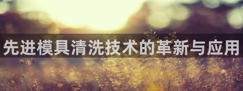 澳门太阳集团洗米华：先进模具清洗技术的革新与应用