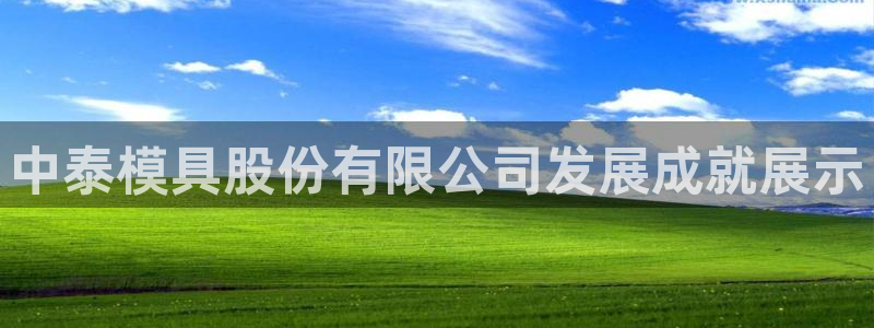 太阳影业投资：中泰模具股份有限公司发展成就展示