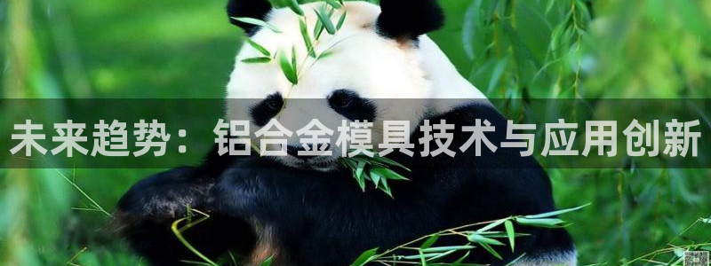 15vip太阳成集团：未来趋势：铝合金模具技术与应用创新