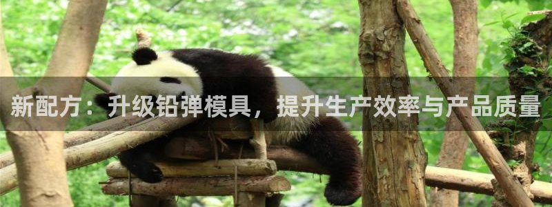 太阳集团官网导航下载：新配方：升级铅弹模具，提升生产效率与产品质量