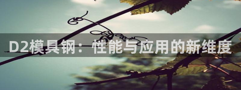太阳成下载：D2模具钢：性能与应用的新维度