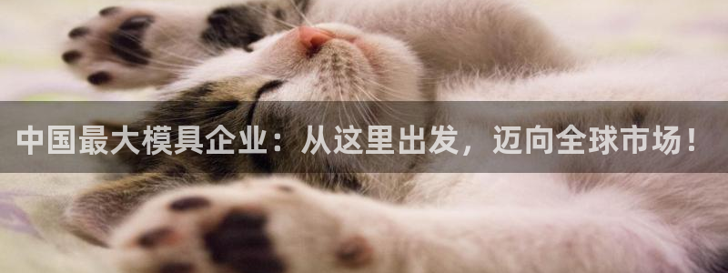 太阳成集团tyc3345：中国最大模具企业：从这里出发，迈向