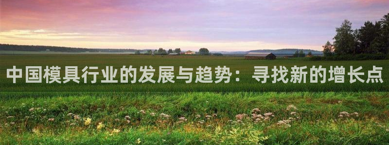 太阳app网页版：中国模具行业的发展与趋势：寻找新的增长点