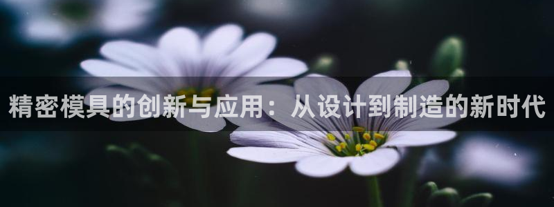 太阳gg登录：精密模具的创新与应用：从设计到制造的新时代