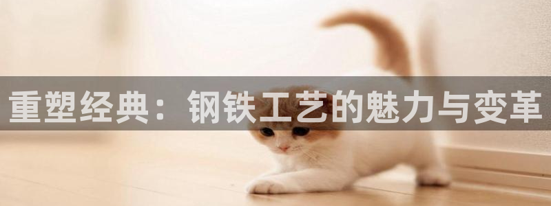 太阳成集团是干嘛的