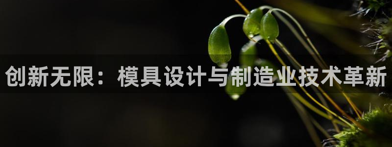 太阳集团股份有限公司招聘：创新无限：模具设计与制造业技术革新