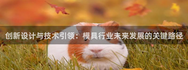 太阳集团游戏2138网站：创新设计与技术引领：模具行业未来发展的关键路径