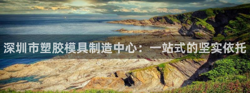 2138cn太阳集团古天乐·首页(欢迎您)：深圳市塑胶模具制造中心：一站式的坚实依托