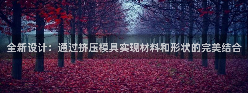太阳成集团tyc234cc[主页]振：全新设计：通过挤压模具实现材料和形状的完美结合