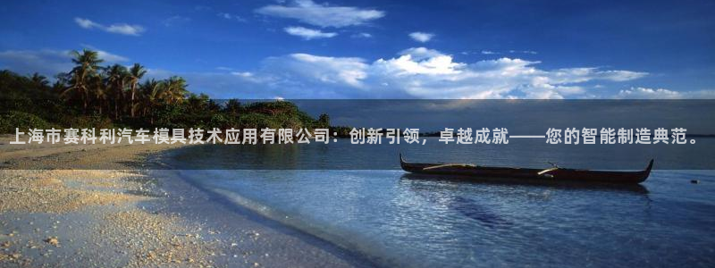 太阳gg官网登录：上海市赛科利汽车模具技术应用有限公司：创新引领，卓越成就——您的智能制造典范。