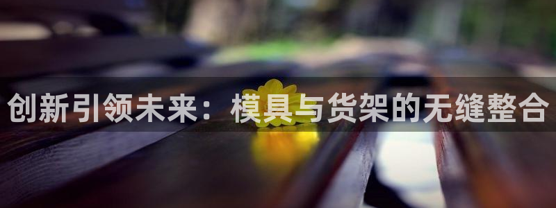 太阳2游戏娱乐官网：创新引领未来：模具与货架的无缝整合