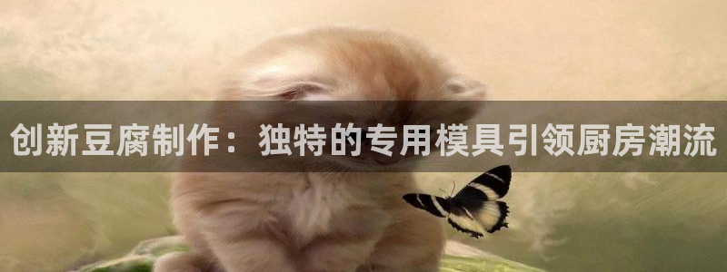 太阳gg登陆测试：创新豆腐制作：独特的专用模具引领厨房潮流