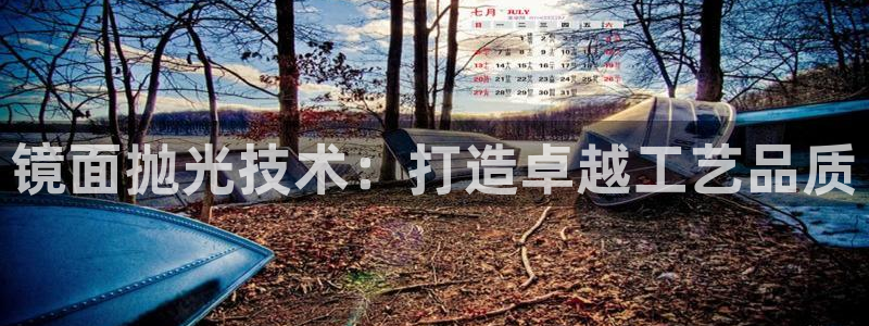 太阳成集团tyc122ccvlp：镜面抛光技术：打造卓越工艺品质