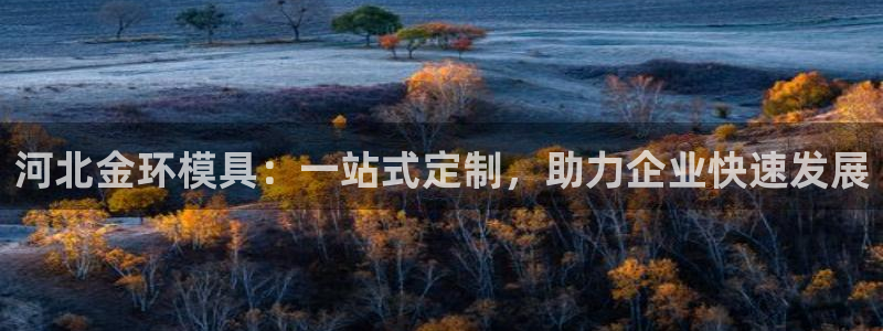 太阳地产老板：河北金环模具：一站式定制，助力企业快速发展