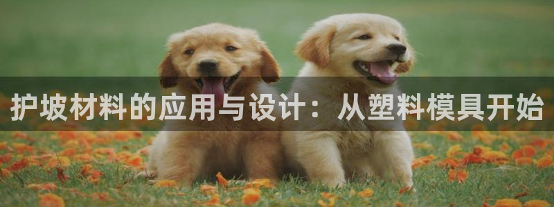 太阳集团电子游戏返还8元：护坡材料的应用与设计：从塑料模具开