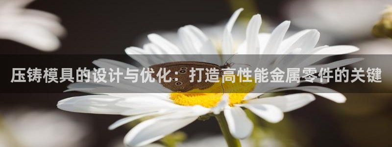 太阳成集团tyc234cc[主页]网站振兴：压铸模具的设计与