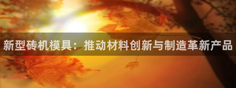 太阳c集团：新型砖机模具：推动材料创新与制造革新产品