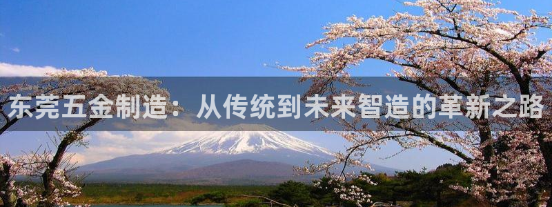 太阳诚集团有限公司