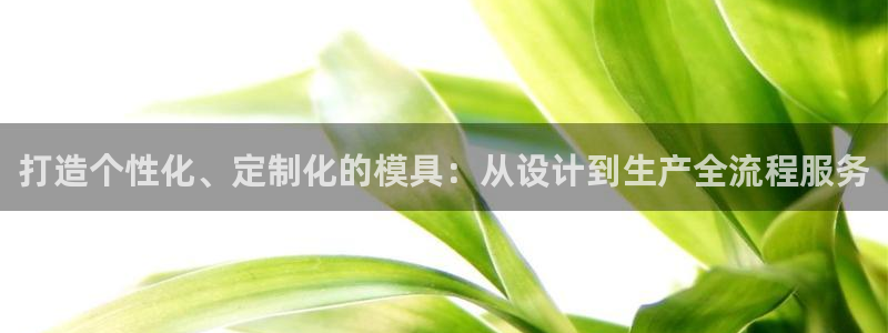 太阳成集团老板照片：打造个性化、定制化的模具：从设计到生产全流程服务