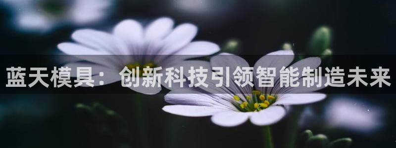 太阳gg注册/登录：蓝天模具：创新科技引领智能制造未来