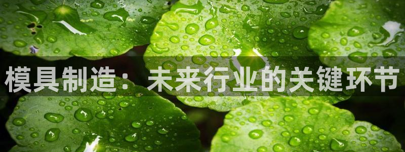 太阳影视公司：模具制造：未来行业的关键环节