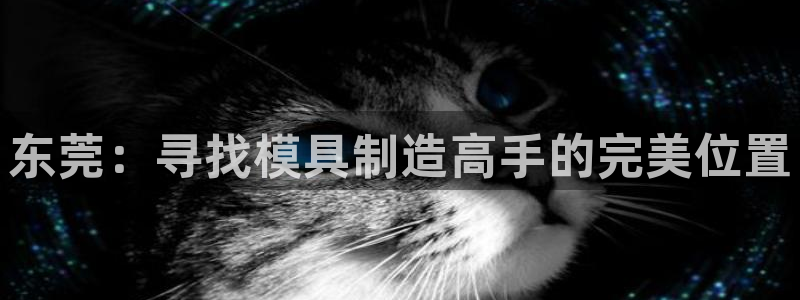太阳诚集团网址：东莞：寻找模具制造高手的完美位置